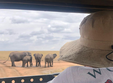 2-days-tanzania-lodge-safari
