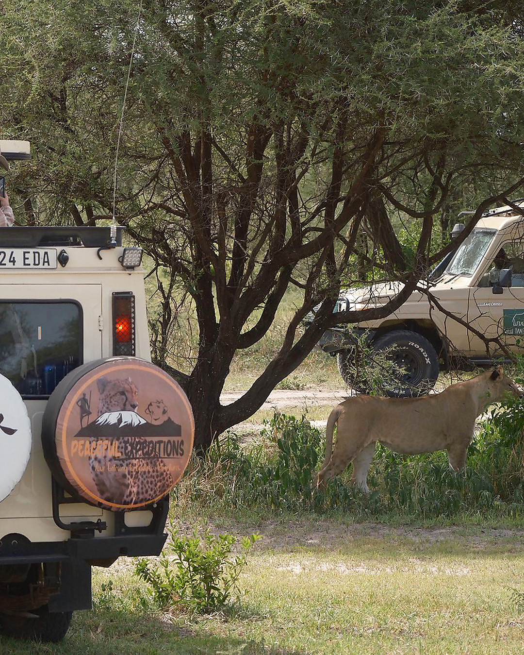 5-Day Private Luxury Safari