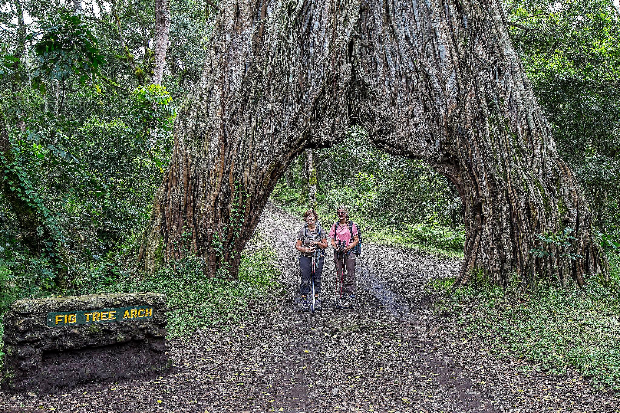 Arusha National Park