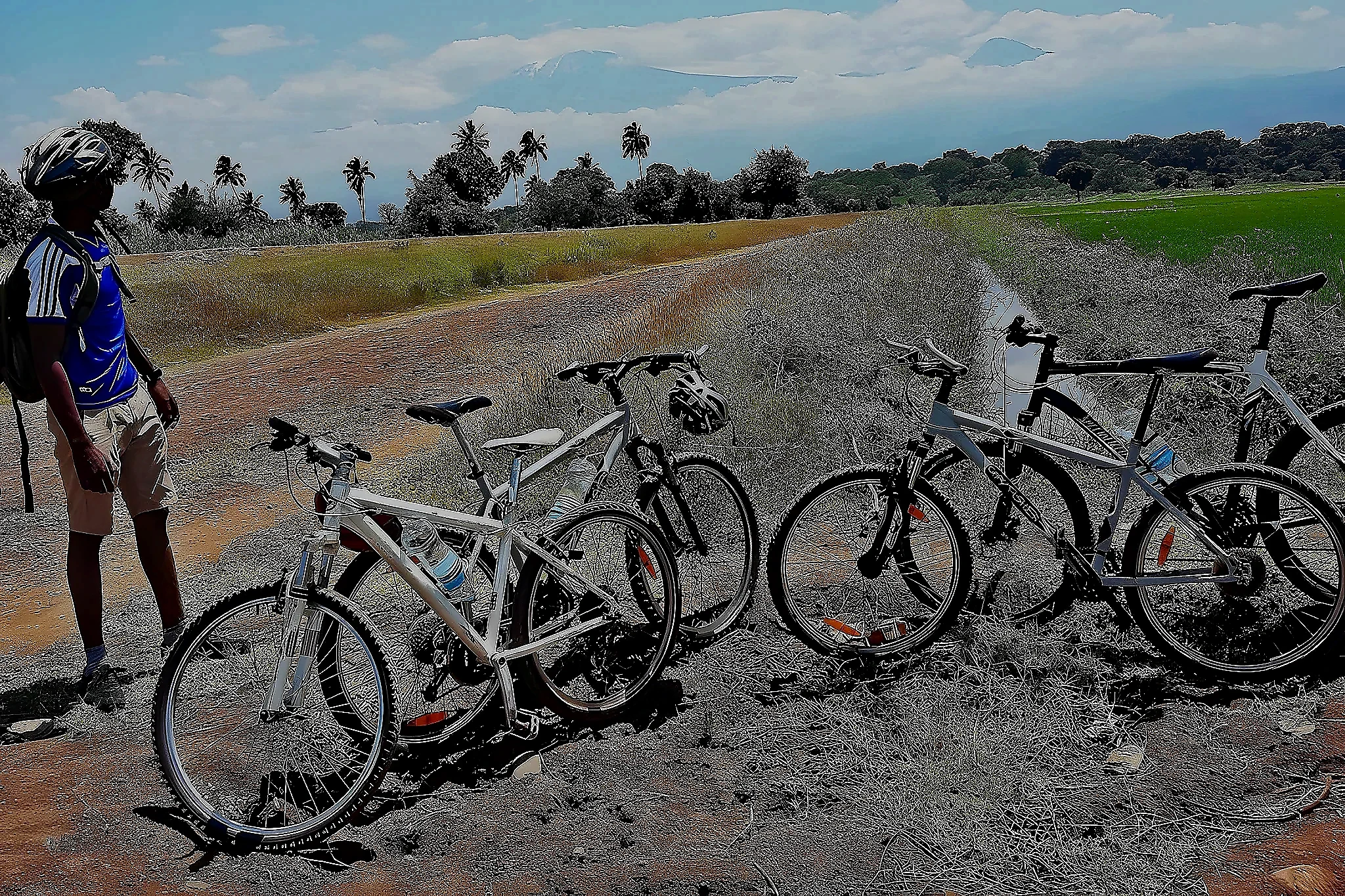 TPC Sugar Plantation Cycling Day Trip