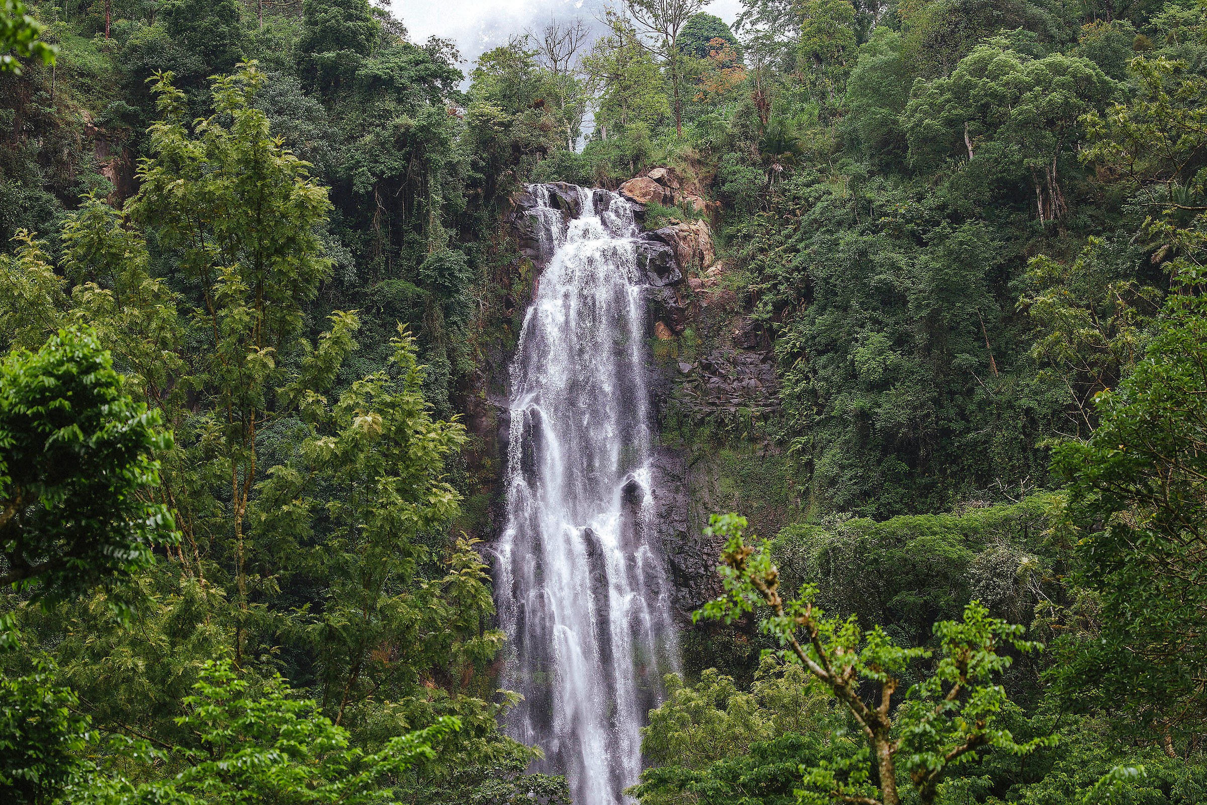 Marangu Waterfalls Day Trip