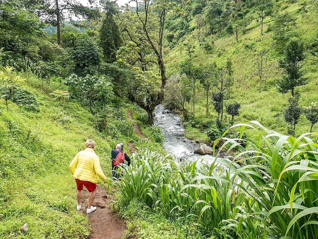 Materuni Waterfall And Coffee
